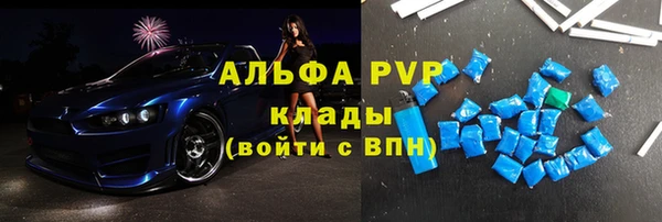 спиды Каменка
