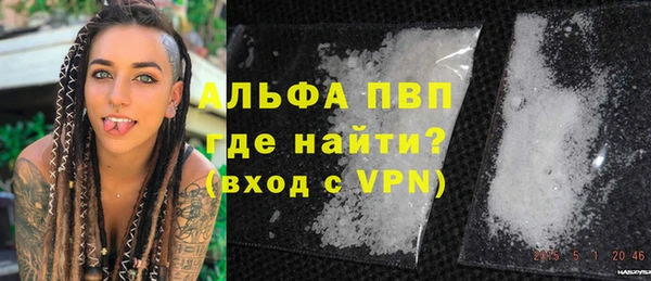спиды Каменка