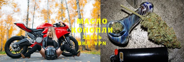 спиды Каменка