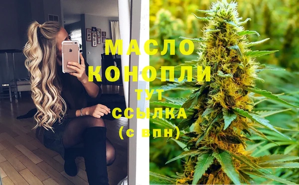 спиды Каменка
