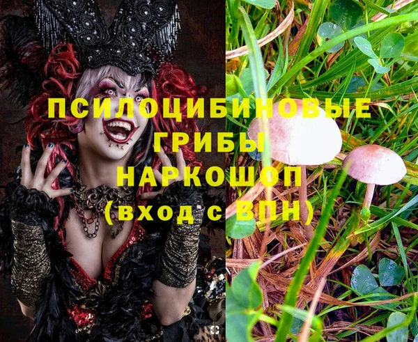 МДМА Каменск-Шахтинский