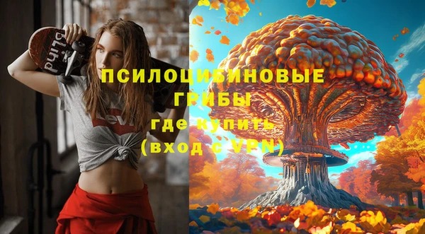 спиды Каменка